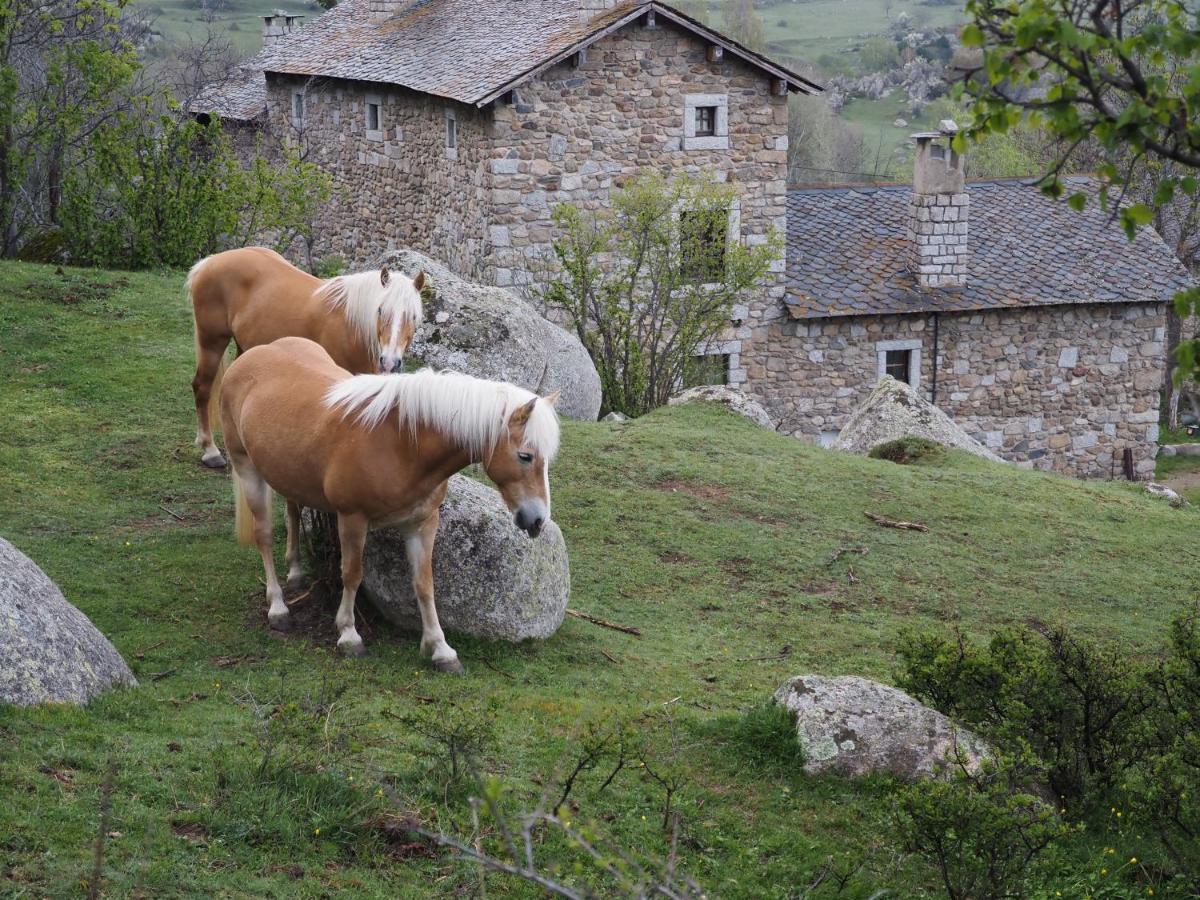 Ferme Can Llull Enveitg Exteriér fotografie