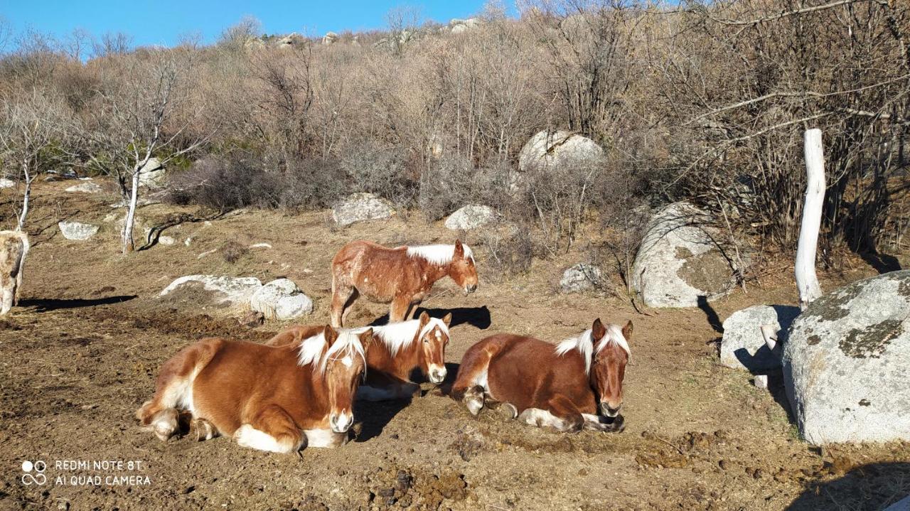 Ferme Can Llull Enveitg Exteriér fotografie
