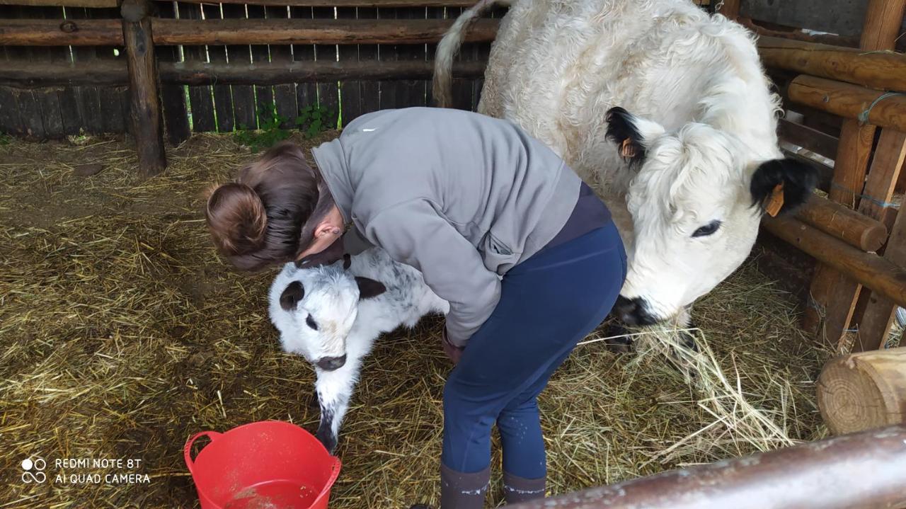 Ferme Can Llull Enveitg Exteriér fotografie