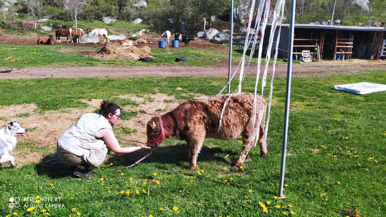 Ferme Can Llull Enveitg Exteriér fotografie