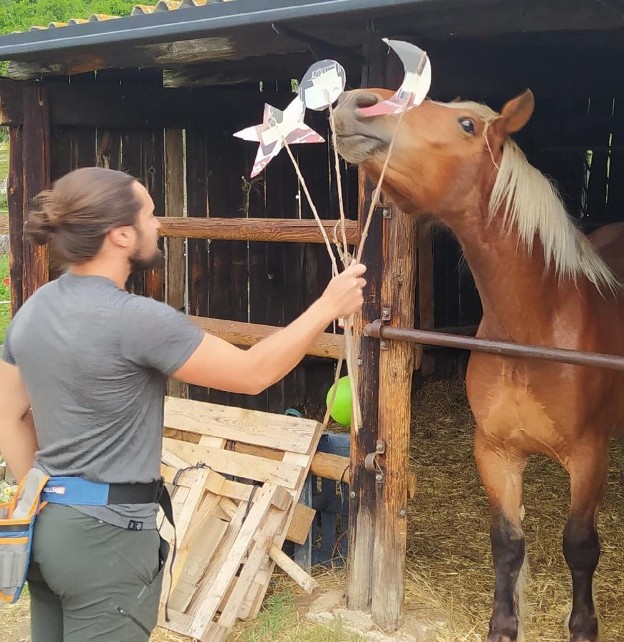 Ferme Can Llull Enveitg Exteriér fotografie